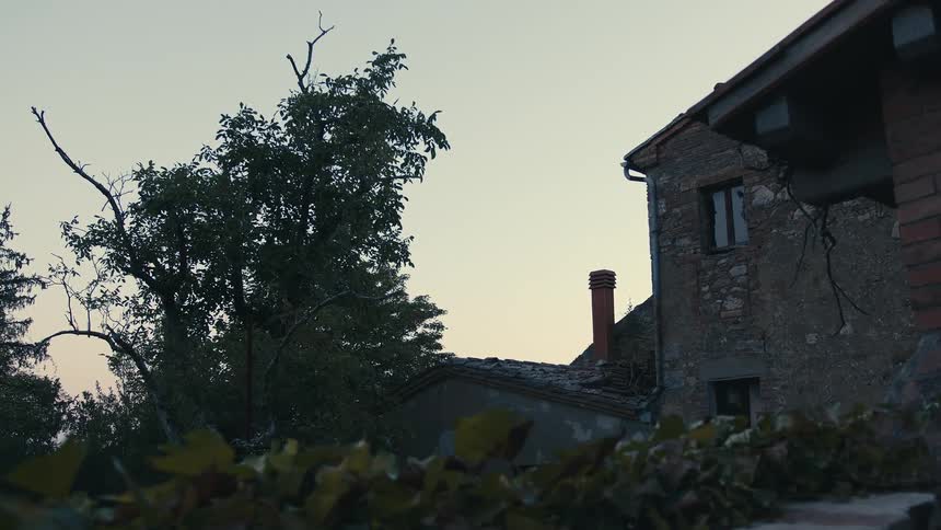 A stone building next to a tree along the skyline at dawn or dusk