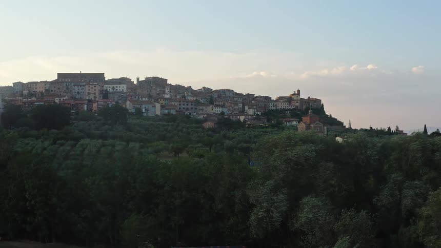 A dense city neighborhood sits on a hill overlooking a forest