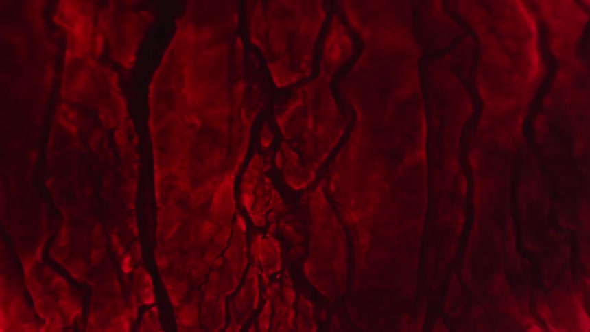 Organic red cracked objects break apart as bubbles move through the liquid
