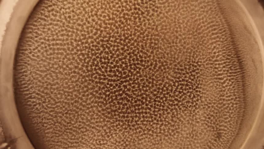 A layer of fine particles are on a vibrating surface which causes them to bounce and ripple