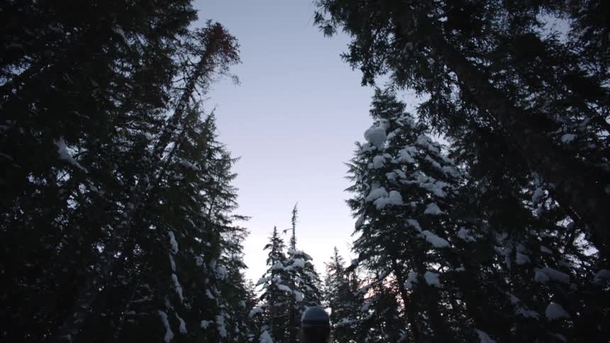 Woman wearing a backpack hiking through snowy woods