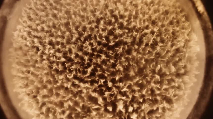 Close up top down view of vibration patterns on a surface covered with sand