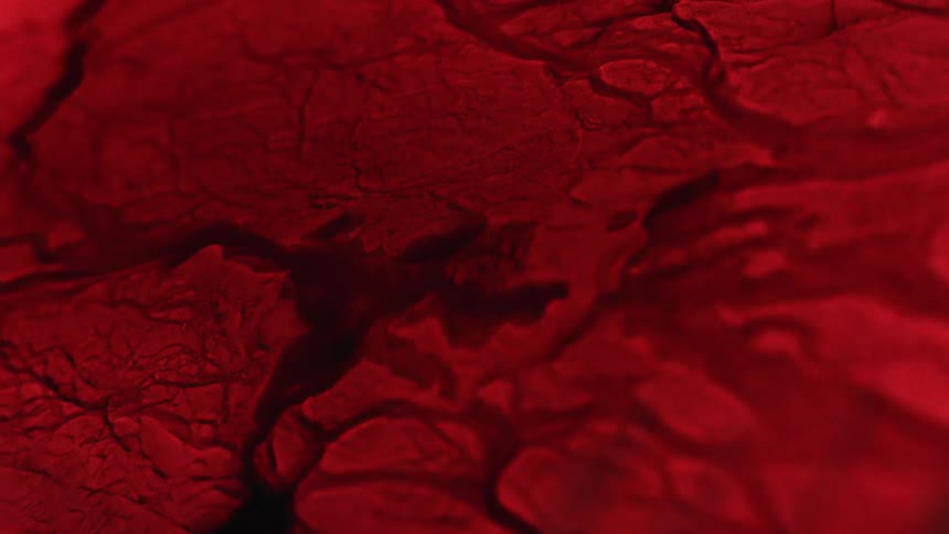 The liquid moves through the veins