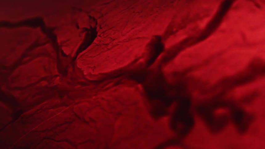 Liquid moves through the veins