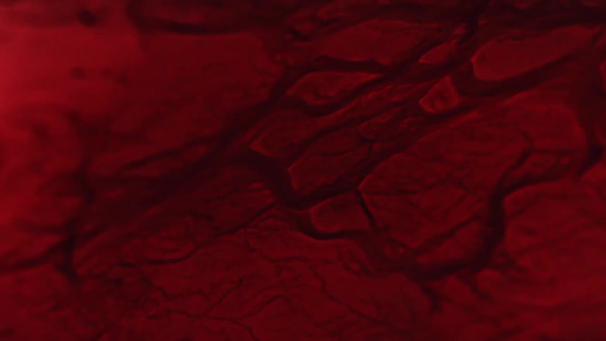 Red cracked objects break apart as a bubble moves through the liquid