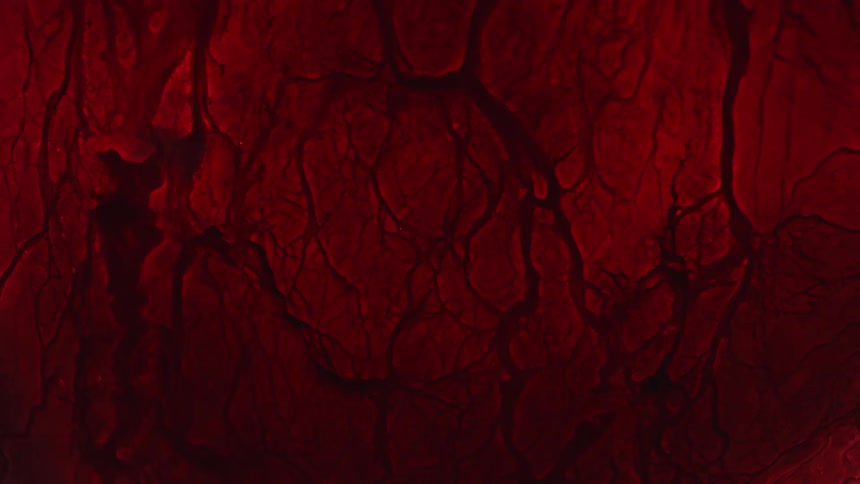The water flows through the veins