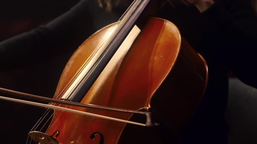Female musician plays cello in opera house