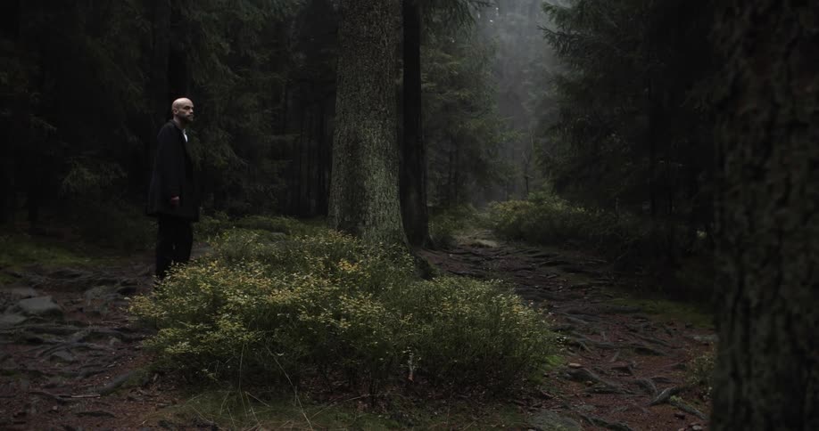 Man Walks In Nature