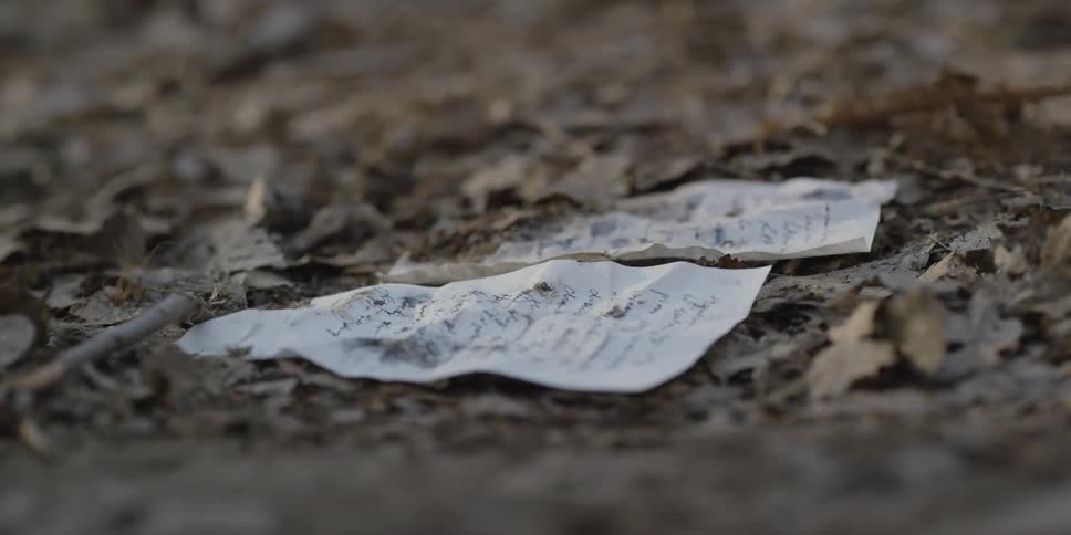 Ripped out pages on the ground with dead leaves