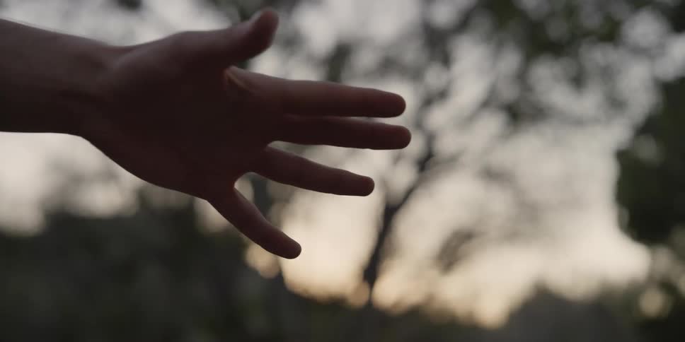 A person reaches their hand in front of the trees
