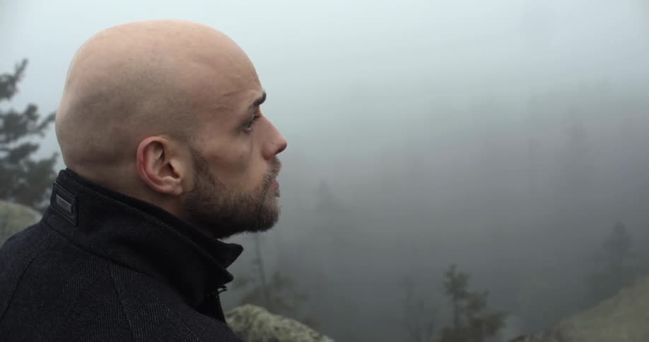 A man looking out over a forest canyon that is cloaked in fog