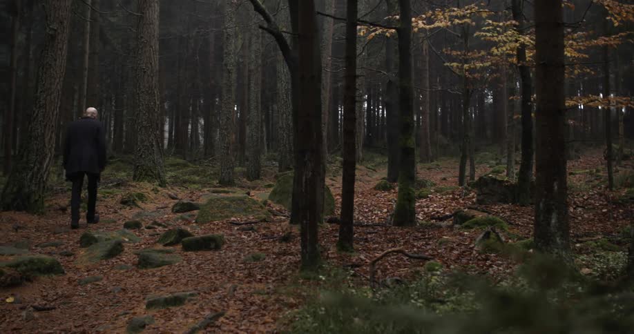 A man walks through a forest