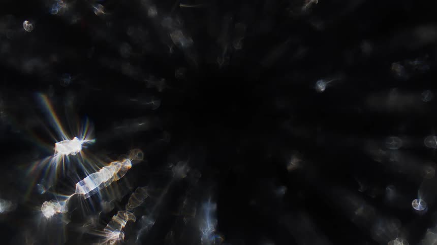 Lights are turning in a circle formation as they get brighter wisps emerge in the darkness