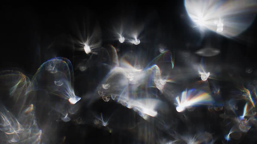 The lights shine and move