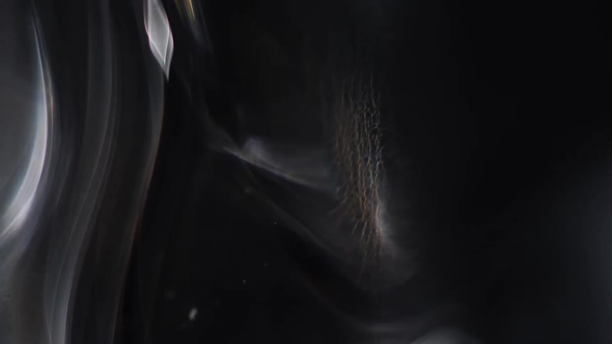 Smooth glass magnifies tendrils embedded inside