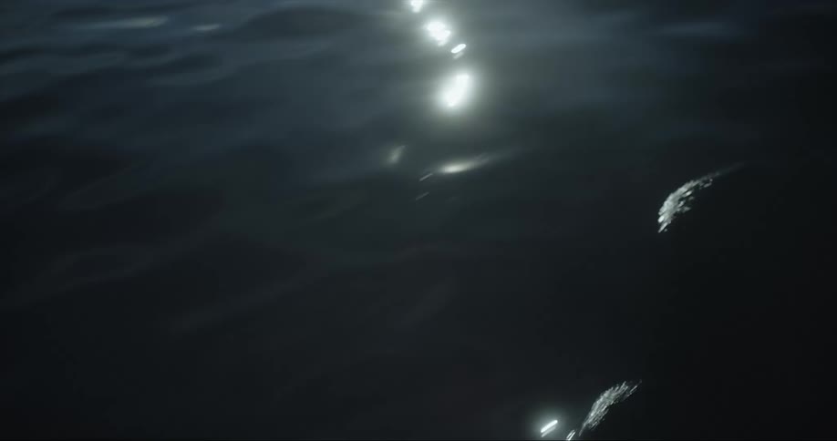 Sun is reflecting on the body of water