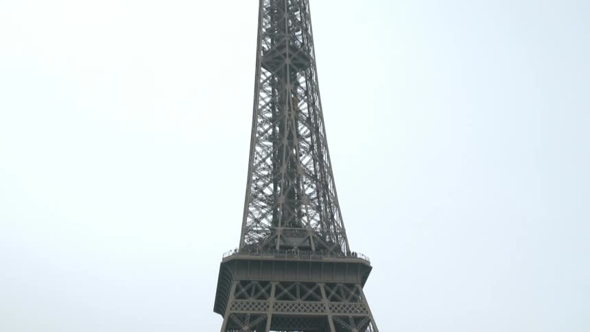 A bird flies past the eiffel tower