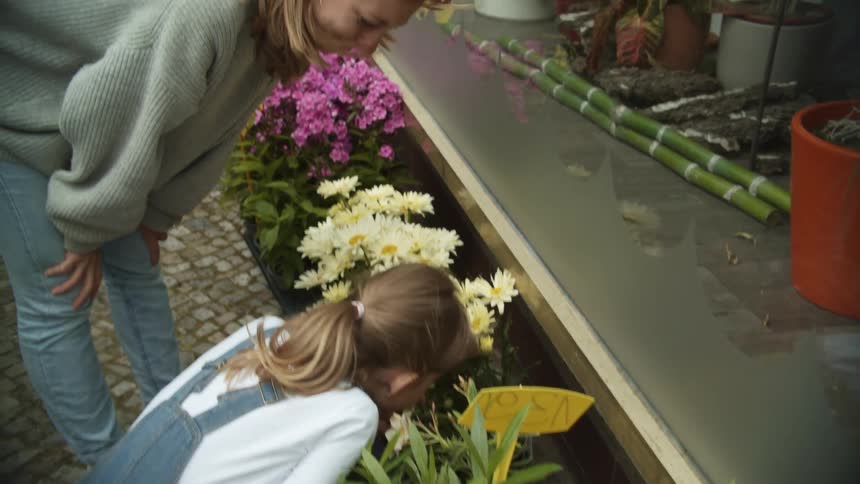 Mother and daughter looking at flowers on a stand in the streets of a smalltown