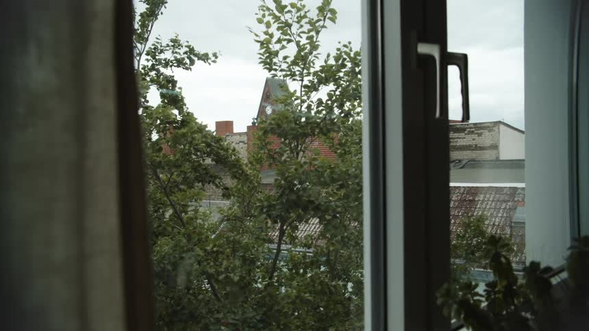 A view of trees from a window