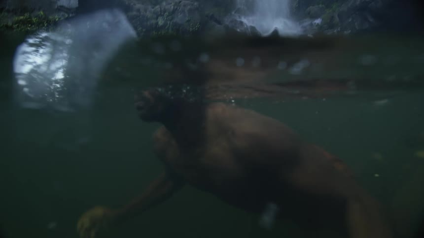 A man swims past a waterfall in a river