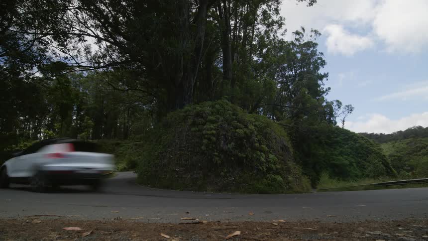 White car drives through a bend near the green forest