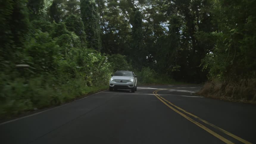 White car drives along a road behind a forest backdrop