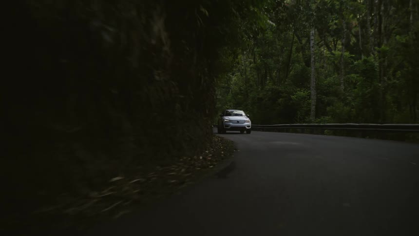 A car is driving down the road in the forest area