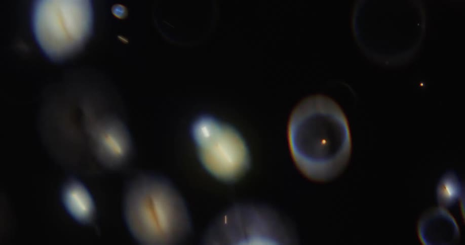 Illuminated orbs are floating as they fall from above and glow in the darkness