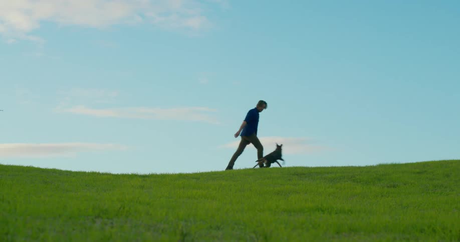 A man walks in a field and plays with a dog