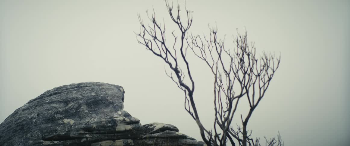 Black birds fly of large rock against cloudy sky