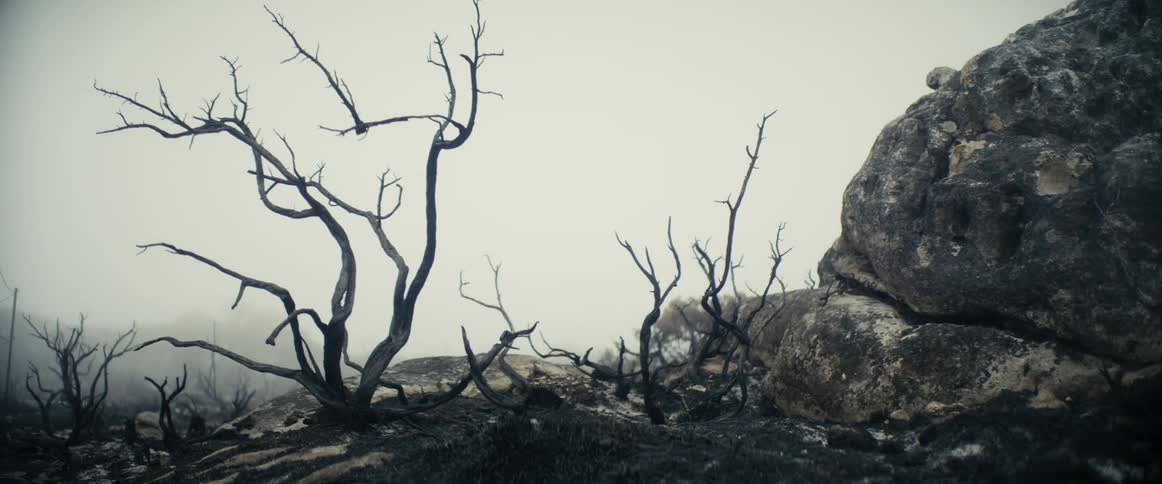 Heavy fog settles over a barren canyon