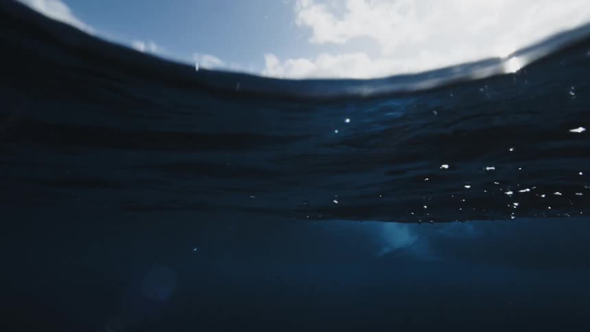 Fish swim near surface as surfer rides wave with mountains in the background