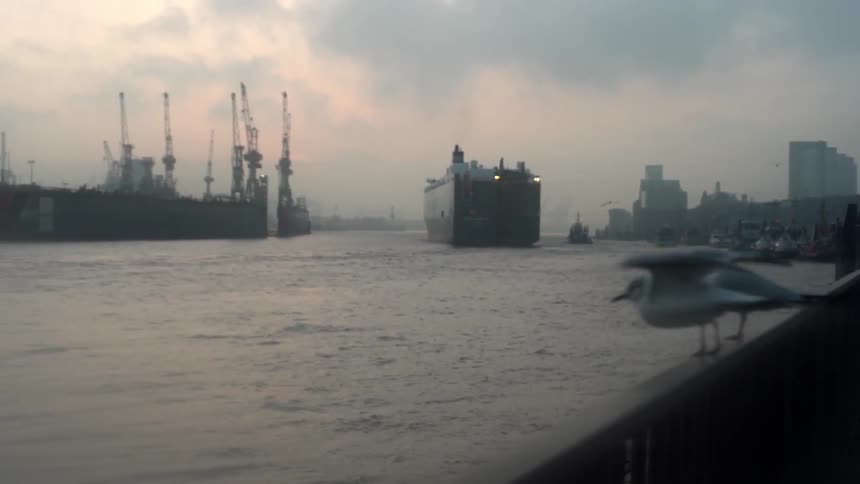 Two seagulls on a railing in front of a large harbor with cranes and ships