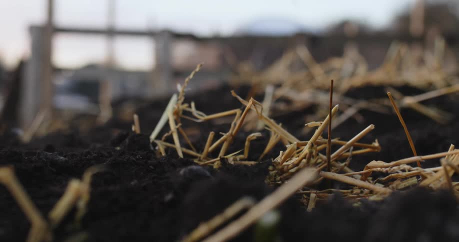 Soil being shoved on top of straw