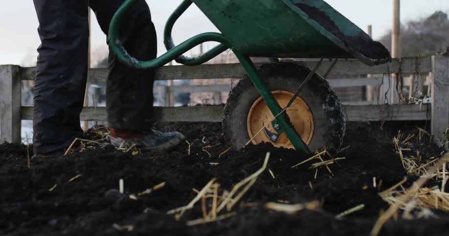 A man pushes a wheelbarrow and dumps soil to prepare for planting