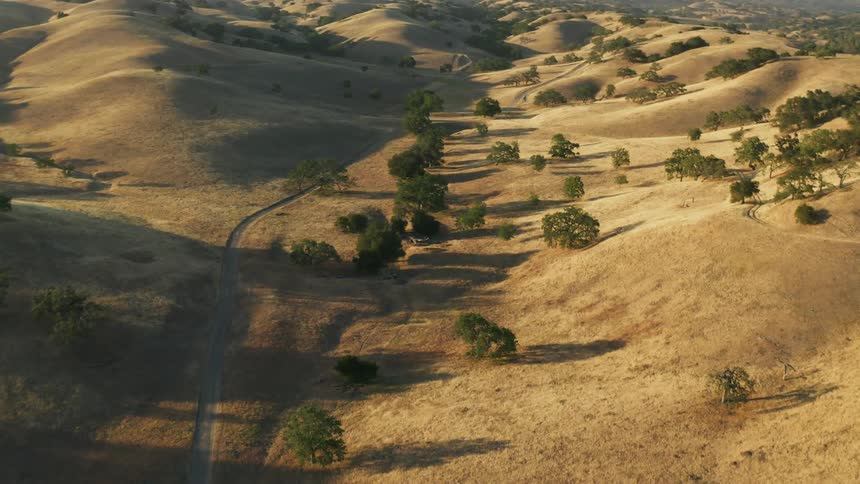 A showing of a savanna and a road