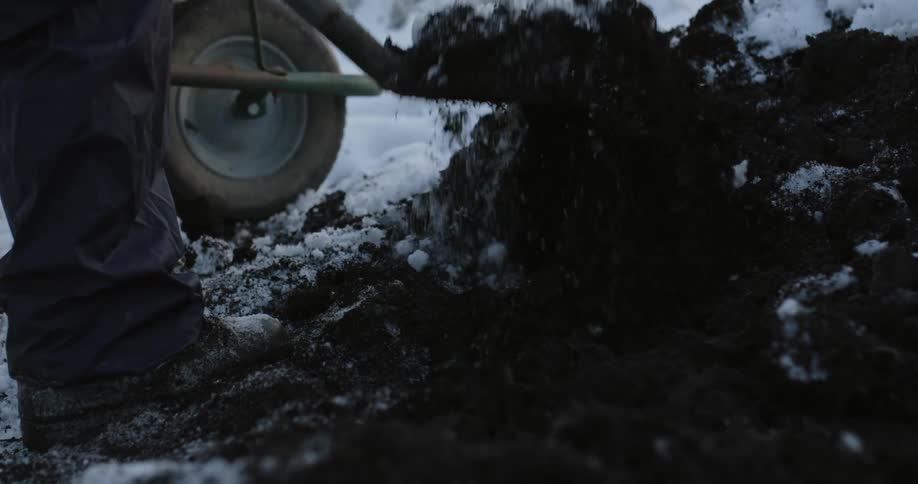 A person is digging dirt in the snow
