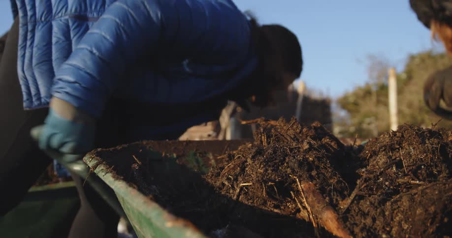 Group of farmers loading a wheelbarrow with soil using spading forks
