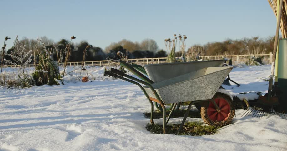 Wheelbarrows are sitting outside in the snow as a man walks by dragging two pitchforks
