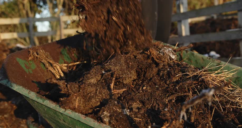 A man wearing gloves and a coat is standing outside holding a shovel and putting dirt into a wheelbarrow