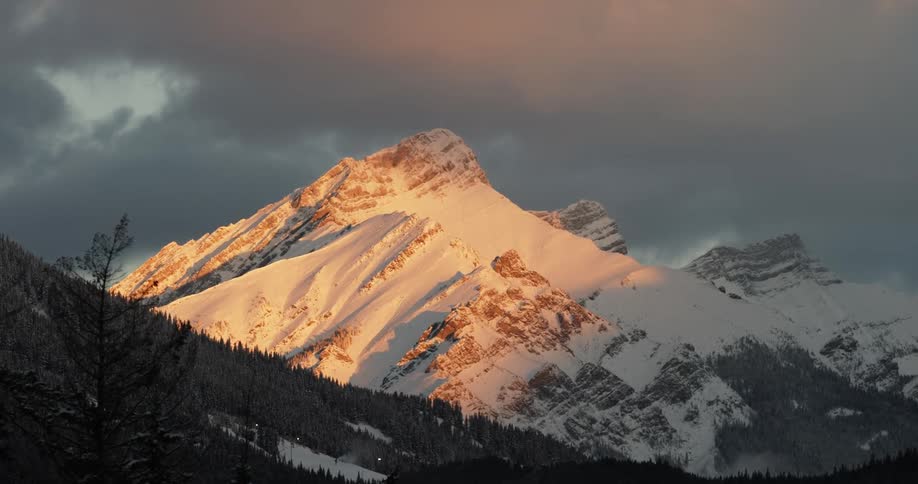 The sun shines on a snow covered mountain as a bird flies over trees on the mountainside