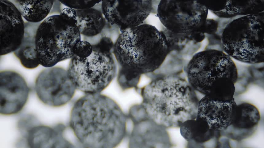 Organic gray textured spheres breath and move on a white surface