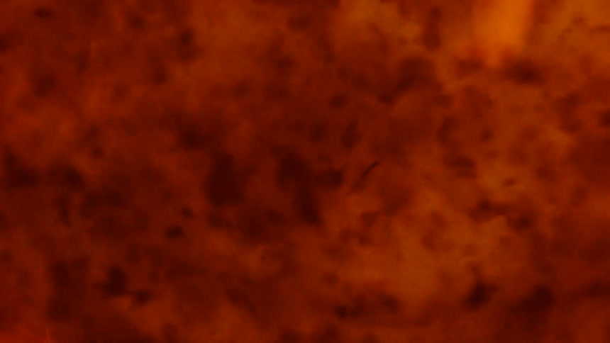 Bacteria floating in red solution