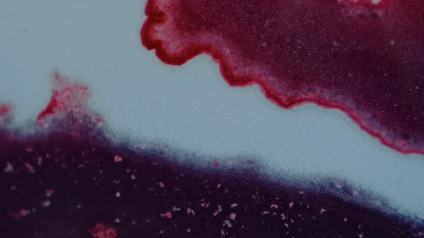 Abstract footage of liquid dye moving