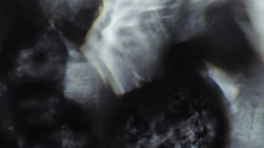 Water ropples as it flows over stone shapes
