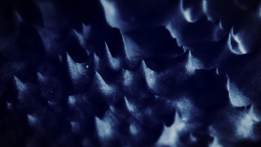 Light shines on points stretching from a surface as they bend and move in the shadows