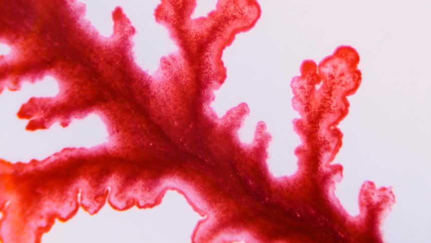 The red ink spreads