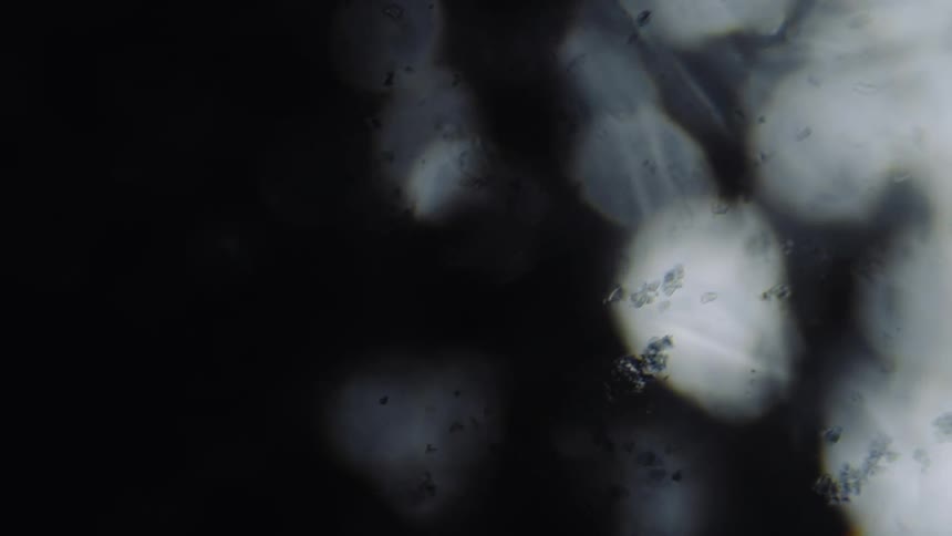 Debris floats in the liquid