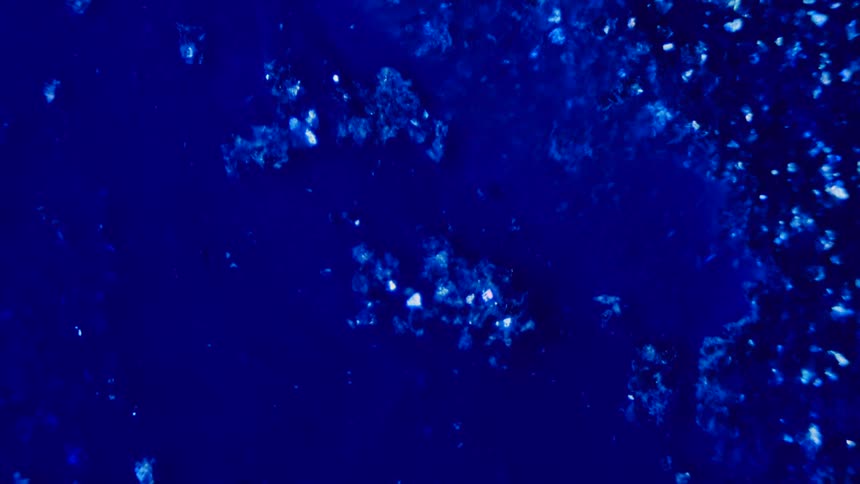 Flowing textured dark blue fluid