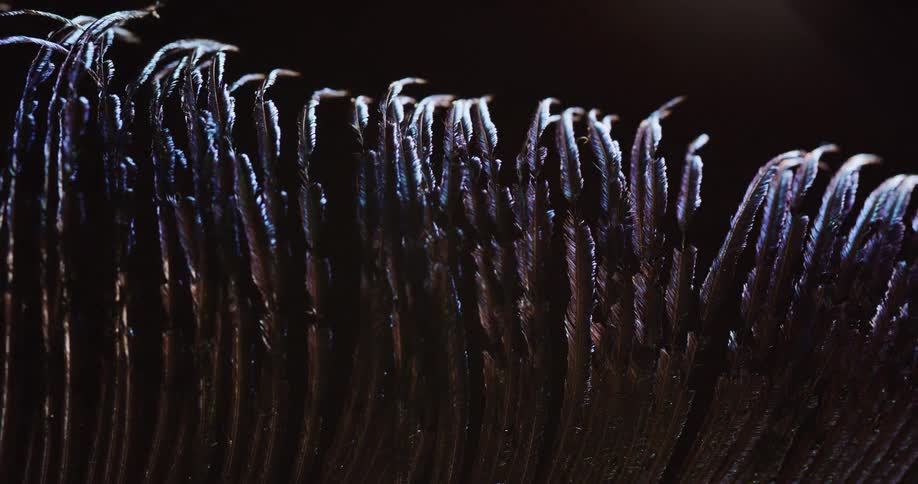 Lights on a textured surface